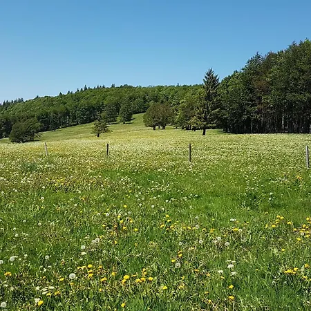 Tolle Aussicht Mit Hallenbad Apartman Schonach im Schwarzwald