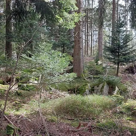 Tolle Aussicht Mit Hallenbad *